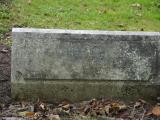 image of grave number 198972